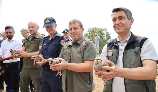 Adana’da keneyle doğal mücadele: Kozan’da 500 keklik doğaya salındı