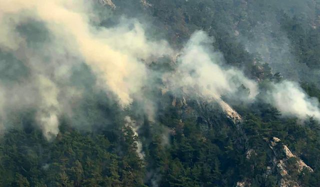 Adana’daki orman yangınlarında sabotaj şüphesi: 3 kişi tutuklandı