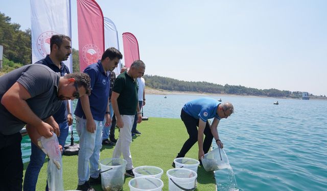 Adana’dan 12 ile 10 milyon 500 bin yavru sazan: Göllere hayat oldular