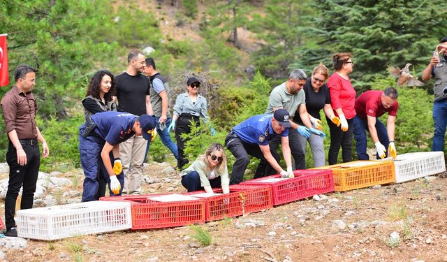 Feke’de doğaya can geldi: Binlerce sazan baraja, yüzlerce keklik dağlara salındı