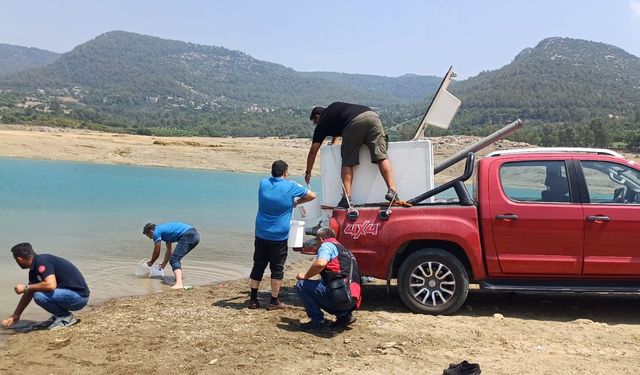 Kozan Kilgen Barajı’nda doğal destek: 321 bin sazan yavrusu bırakıldı