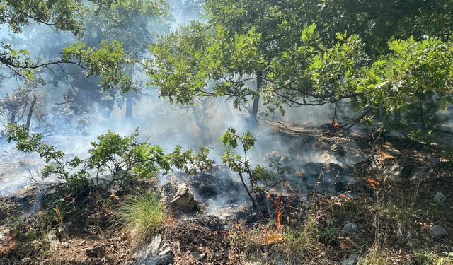 Osmaniye'de orman yangını korkuttu: Havadan ve karadan müdahale sonuç verdi