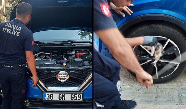 Adana’da İtfaiye Seferber Oldu: Otomobilde Sıkışan Kedi Yavrusu Kurtarıldı