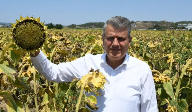 CHP’li Barut: “İthalat Sevdalıları Yerli Üreticiye Darbe Vuruyor”