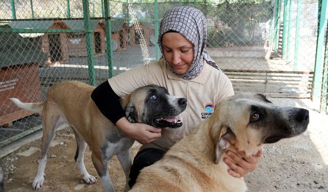 Çukurova Belediyesi’nden örnek uygulama: “Barınak Melekleri” can dostlar için görevde