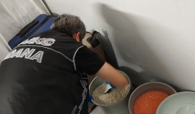 Fasulye kovasından bonzai çıktı: 6 torbacı tutuklandı