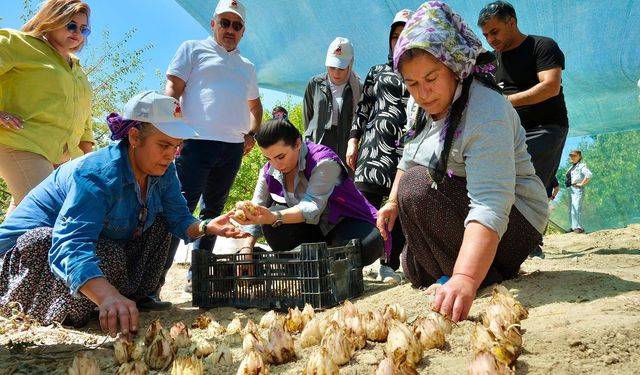 Adana’da kadınlara ekonomik destek sağlanacak