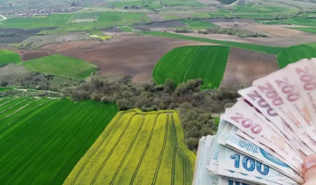 Ceyhan'da 20 dönüm toprak satılıyor: Birikimi olana mahkemeden büyük şans