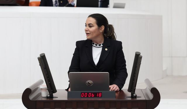 Ayyüce Türkeş Taş'tan Avrupa Parlamentosu'na tepki