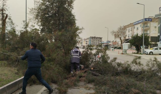 Meteorolojiden Adana için kuvvetli rüzgar uyarısı