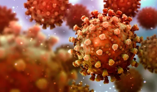 Salgın Endişesi Büyüyor: Nipah Virüsü Nedir?