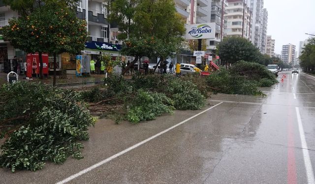 Adana Valiliği'nden fırtına uyarısı: Gece başlayacak, gün boyu sürecek!
