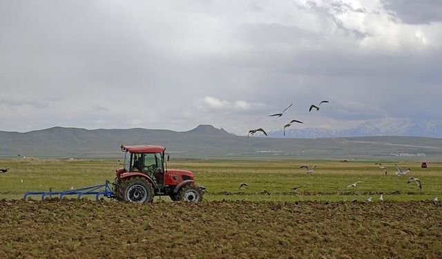 Çiftçilerin hesabına dev ödeme: Tarih ve rakamlar açıklandı!