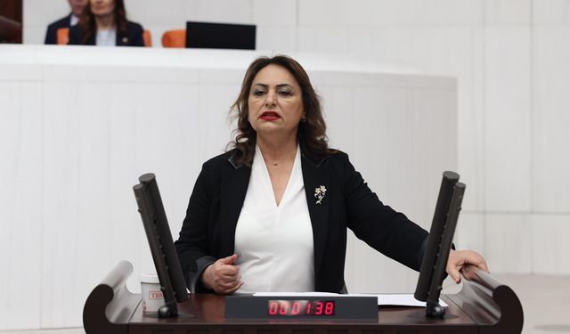 Şevkin: “Usta öğreticilerin sesini duyun!”