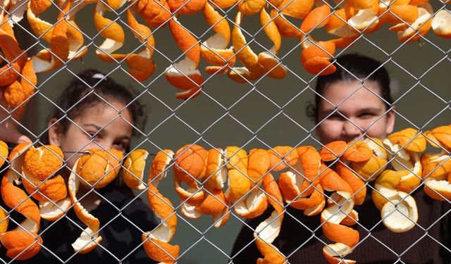 Turunç ve limon kabukları Kozan'da kadınların geçim kaynağı oldu