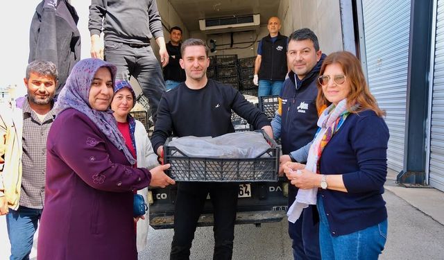 Feke’de çiftçilere 100 bin domates fidesi desteği