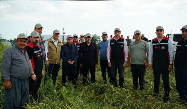 Adana İl Tarım ve Orman Müdürlüğü'nden Sarıçam'da dolu zararı incelemesi