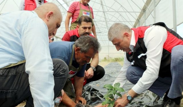 Adana’da kahve üretimi için ilk adım atıldı