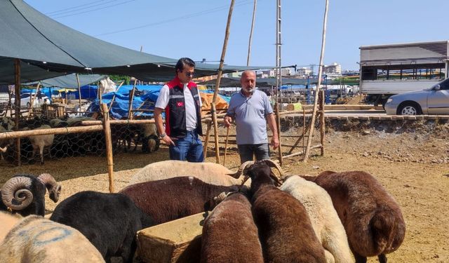Adana’da kurban satış yerlerinde denetimler sürüyor