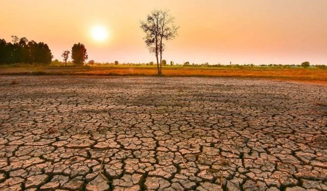 El Nino Türkiye'ye geliyor! Çukurova sıcaktan yanacak