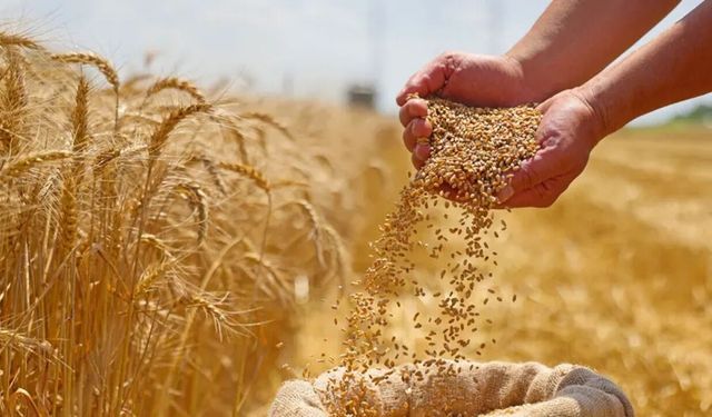 2026 hububat alım fiyatları açıklandı
