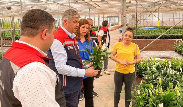Adana, dış mekân süs bitkilerinde Türkiye ikincisi