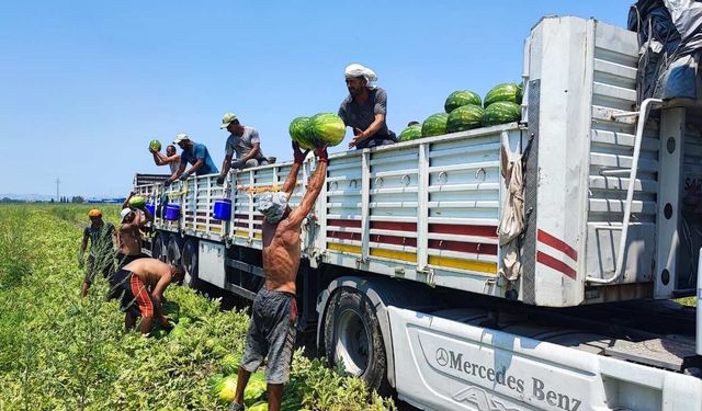 Adana'da 40 derece sıcakta zorlu Mesai: Günlük 40 tır yüklüyorlar