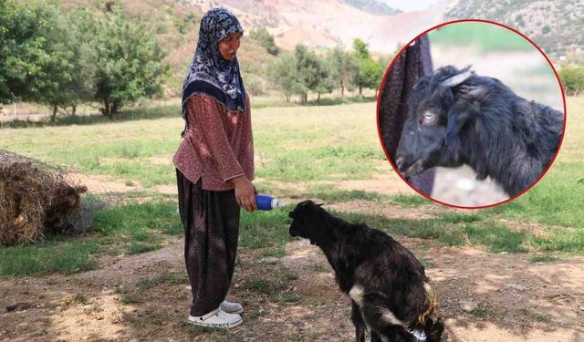 Adana’da sevgi engel tanımadı: Görme engelli oğlağı evladı gibi büyüttü