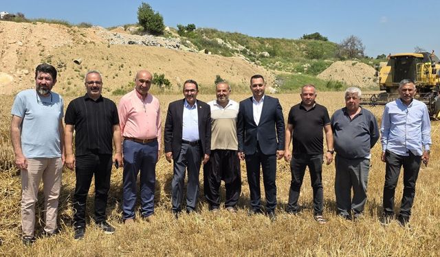 AK Partili Doğru ilk buğday hasadına katıldı