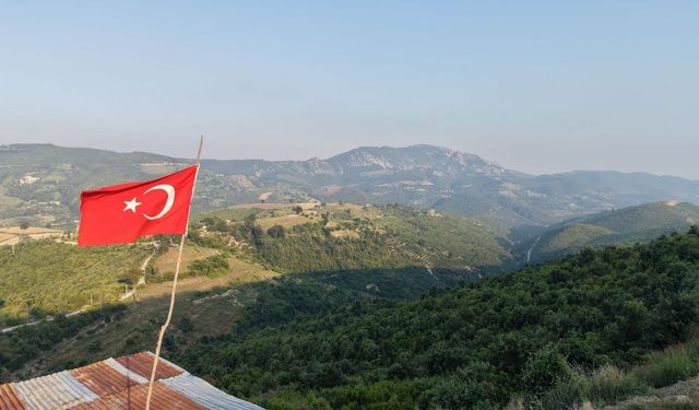 Kozan’daki yangın alanı 6 yılda yeniden yeşerdi