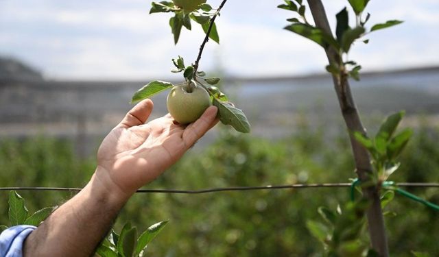 Kozanlı çiftçiler için destek takvimi açıklandı