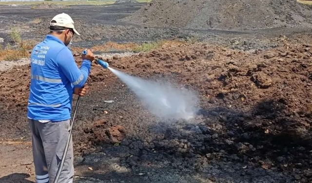 Seyhan’da Akdeniz meyve sineğine geçit yok