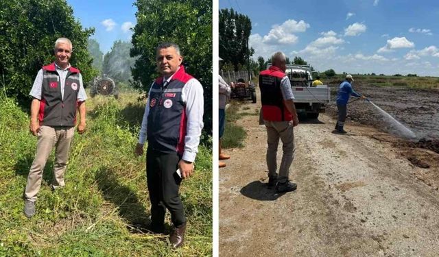 Seyhan’da Akdeniz Meyve Sineğine karşı mücadele sürüyor