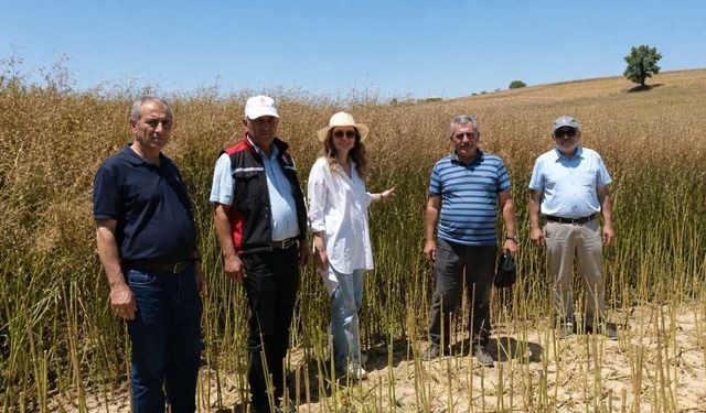 Tarım ekiplerinden Adana ovasında kapsamlı saha incelemesi
