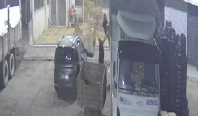 Adana Hal'inde 600 kilo karpuz ve kavun çaldılar! Savunması şaşırttı