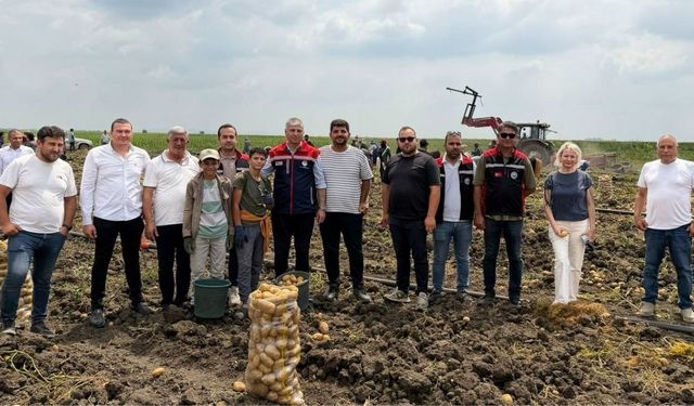 Adana'da 280 bin tonluk patates hasadında son günler
