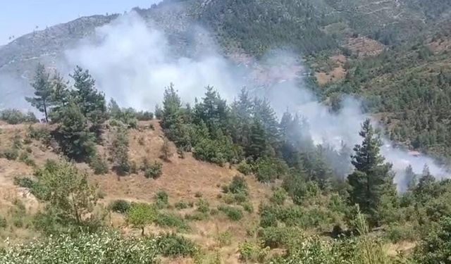 Adana'da orman yangını! Feke'de ekipler seferber oldu