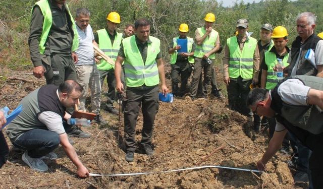 Adana'da ormanların geleceği için sahada eğitim seferberliği