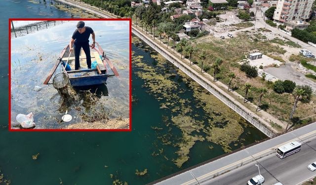 Adana'da Seyhan Nehri'ni çöpler sardı! Gönüllü genç çöpleri tek tek topladı