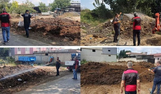 Akdeniz meyve sineğine karşı Seyhan'da ilaçlama seferberliği