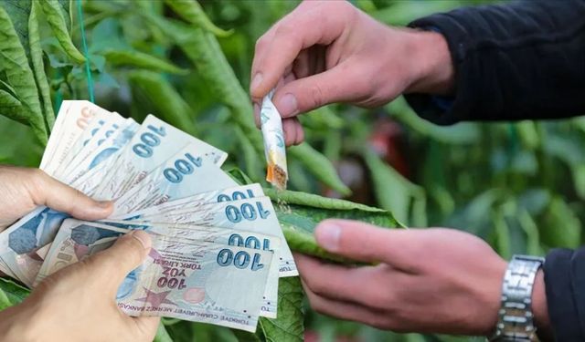 Artan maliyetler çiftçiyi zorluyor! Yüreğir Ziraat Odası'ndan KDV çağrısı