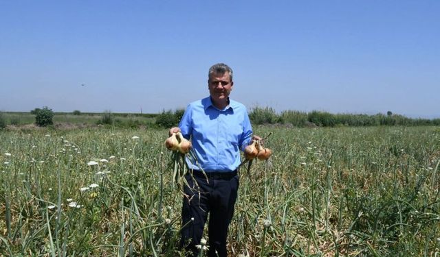 Barut: "Kuru soğanda vergi indirimi üreticiye darbedir"