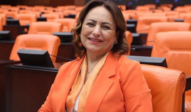 CHP'li Şevkin: "Zeydan Karalar neden görevine iade edilmiyor?"