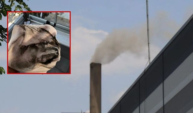 Fabrika bacasından yükselen duman mahalleliyi sokağa döktü