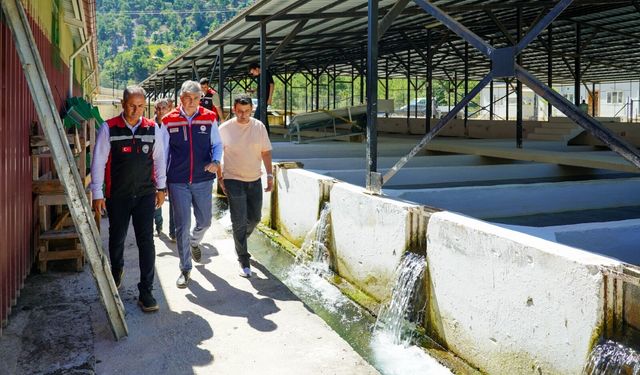 Kozan’da üretim atağı! 5 milyon yavru balık yetiştiriliyor