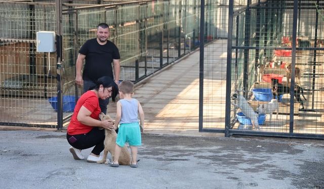 Kozan'da 700 kapasiteli Hayvan Bakım ve Rehabilitasyon Merkezi hizmete açıldı