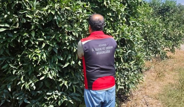 Kozanlı çiftçilere zirai ilaç uyarısı