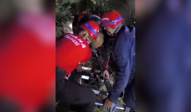 Orman'da mahsur kalan kişi ekiplerin çalışmasıyla kurtarıldı