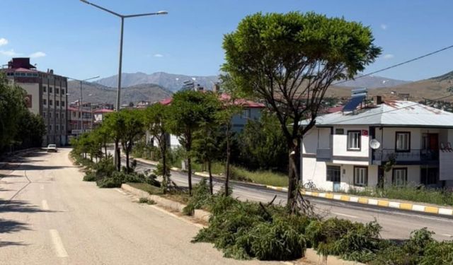 Tufanbeyli'nde ağaç budama çalışmaları tamamlandı