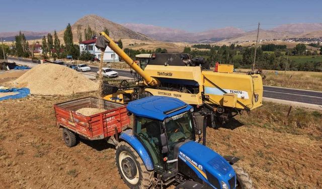 Adana’da çiftçinin yüzü güldü: Nohudun kilosu 100 TL’den alıcı buluyor